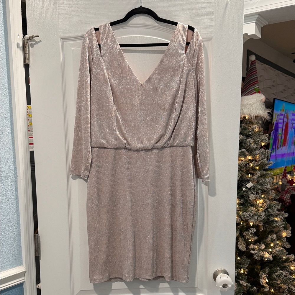 Calvin Klein Shimmering Silver Long Sleeve Dress